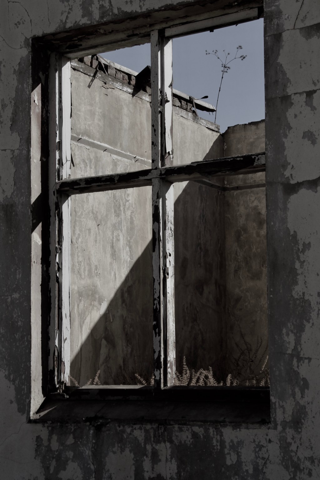 Coffee, Clients & Chaos