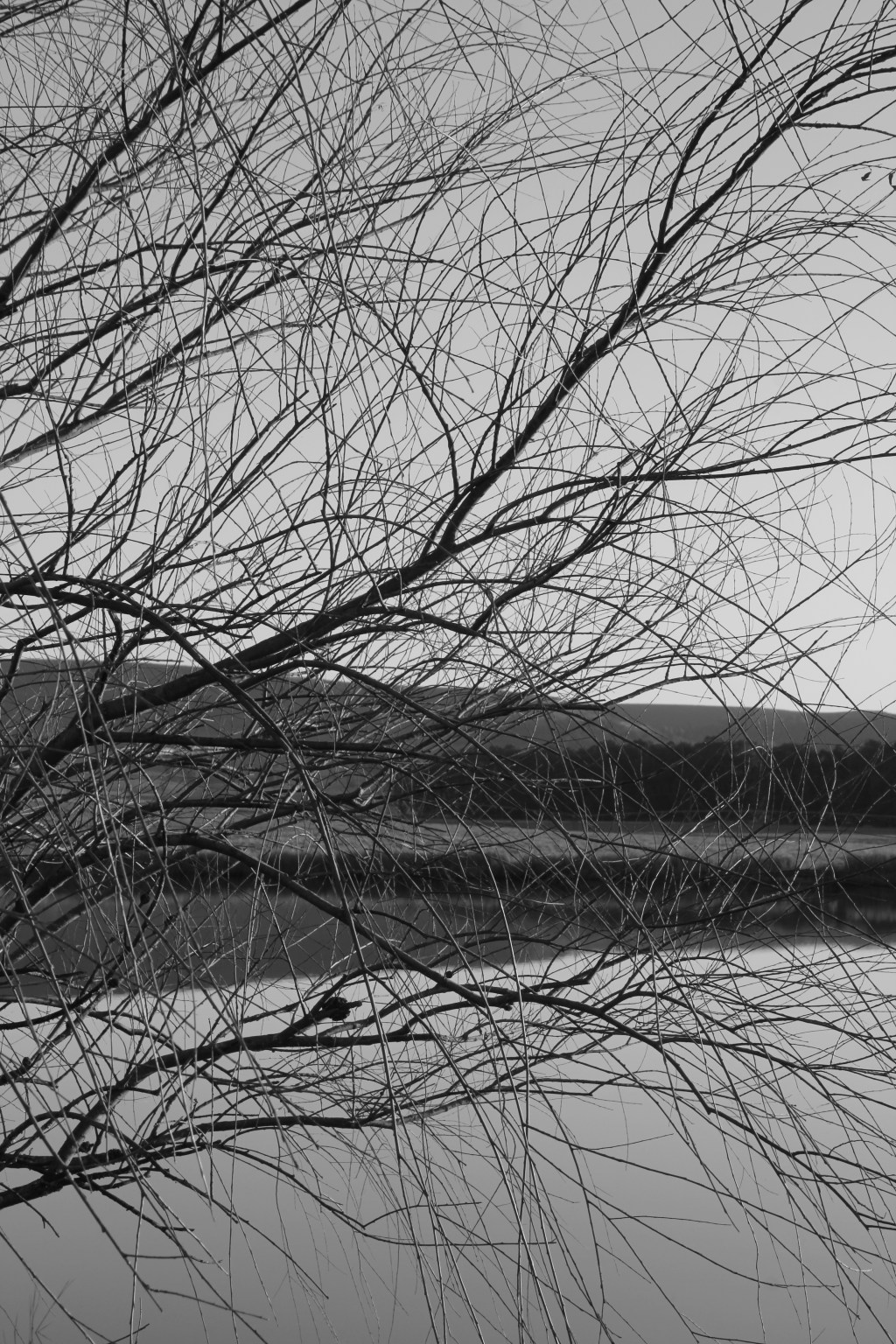 Comfort Zones Don’t Pay the Bills (part&nbsp;2)