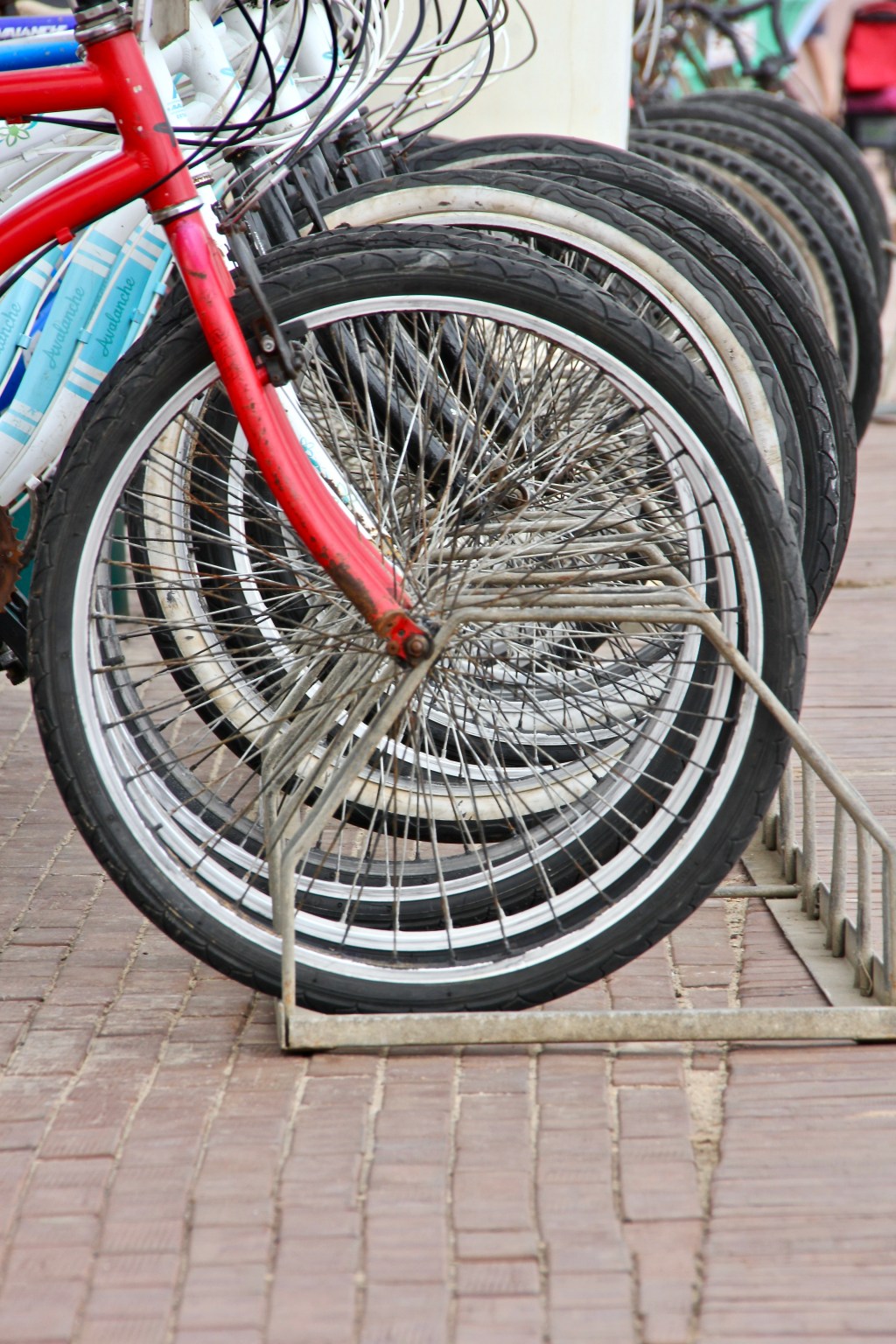 Why Businesses Must Embrace Change to Survive