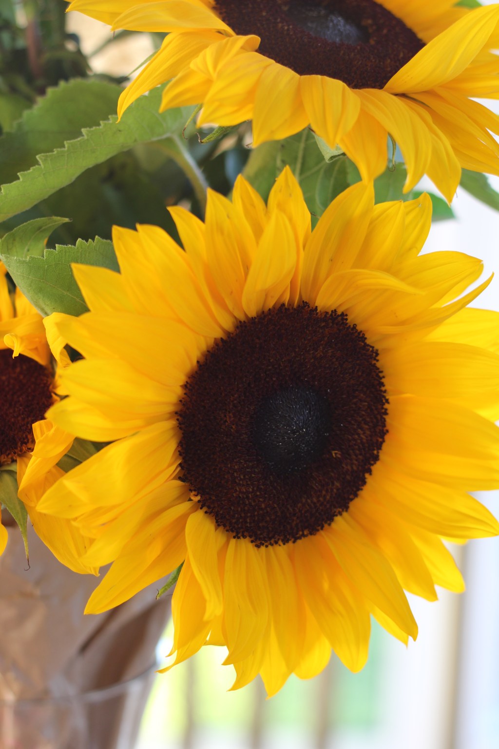 How to Sell When You’re Not a&nbsp;Salesperson