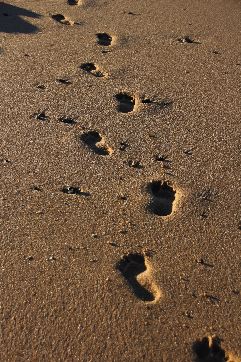 The Hidden Costs of Staying in Your Comfort Zone